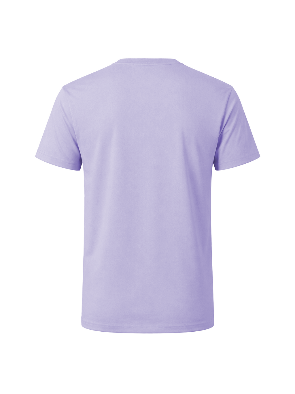 REGULAR T-SHIRT - LILAC DUST